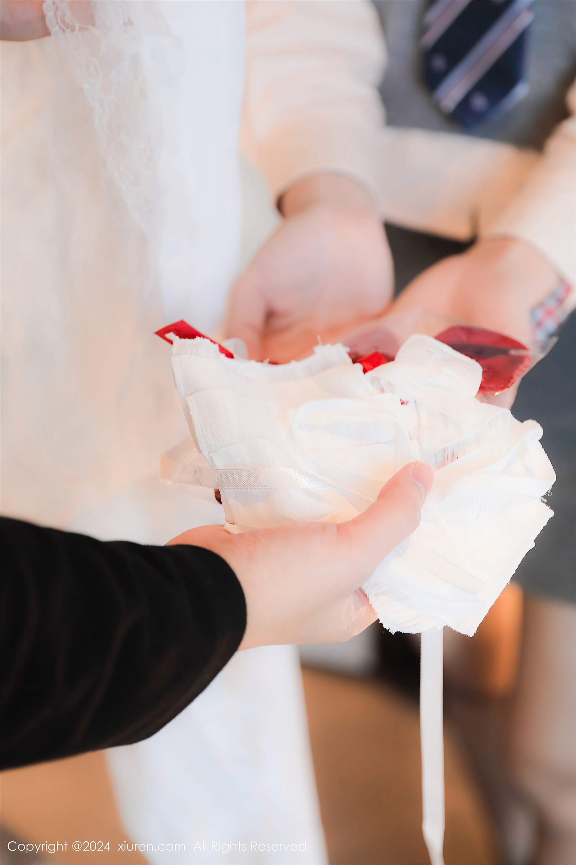 Xiuren秀人网 2024.12.06 NO.9562 桃妖夭